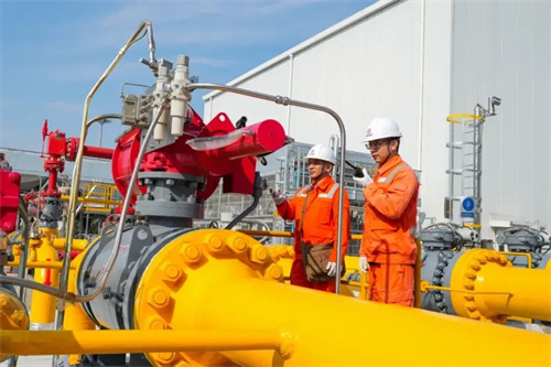 20250924205348.jpg 640 (1).jpg